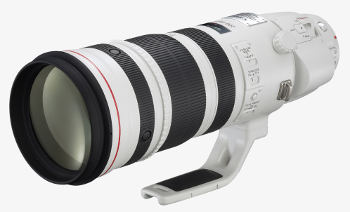 Canon EF 200-400mm f/4L IS USM Extender 1.4x | Osservatorio Digitale